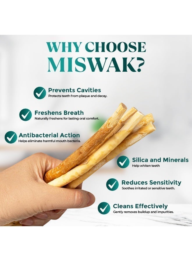 Sanowak Miswak Stick / 100% Natural Siwak Sticks – 5 Organic Wooden Toothbrushes with Plastic Holder | Teeth Whitening & Oral Care | 100% Chewable & Antibacterial | Eco-Friendly & Vacuum Sealed | Meswak | Sewak - Image 4